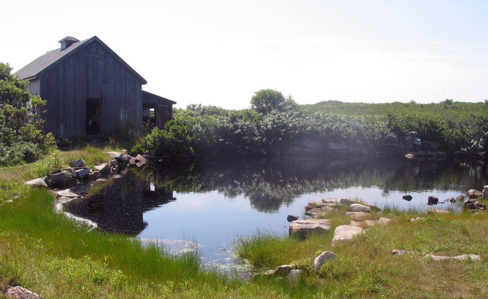 starislandartshed